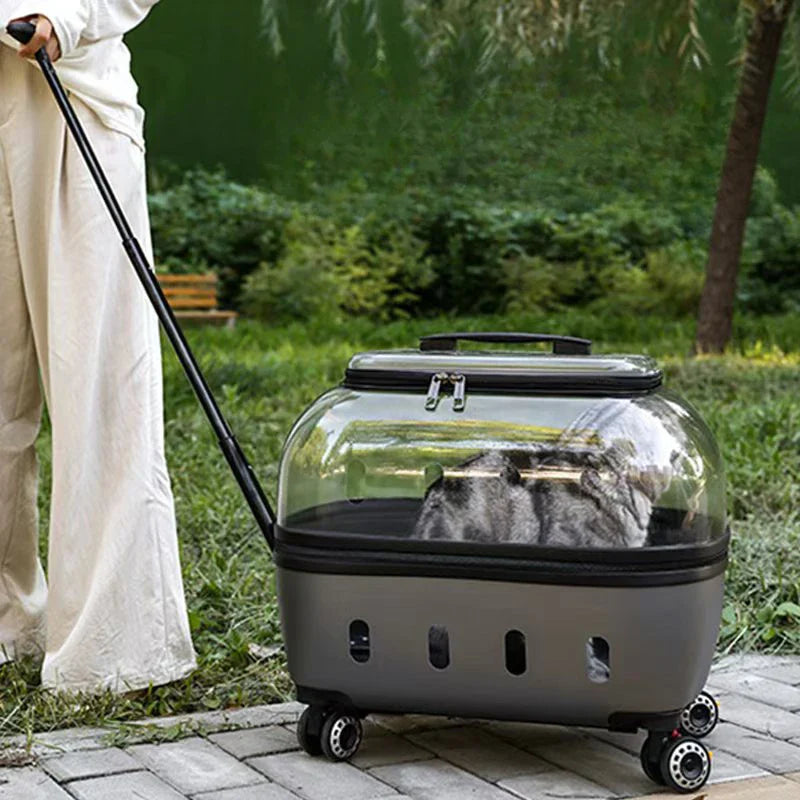 Transparent Pet Suitcase Large Capacity Cat Carry Portable Cat Stroller for Traveling Comfortable Breathable