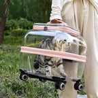 Transparent Pet Suitcase Large Capacity Cat Carry Portable Cat Stroller for Traveling Comfortable Breathable