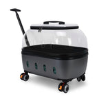 Transparent Pet Suitcase Large Capacity Cat Carry Portable Cat Stroller for Traveling Comfortable Breathable