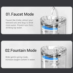 Auto Smart Cat Water Fountain Quiet Tilted Design Energy Efficient Pet Drinker for Fresh Water Circulation