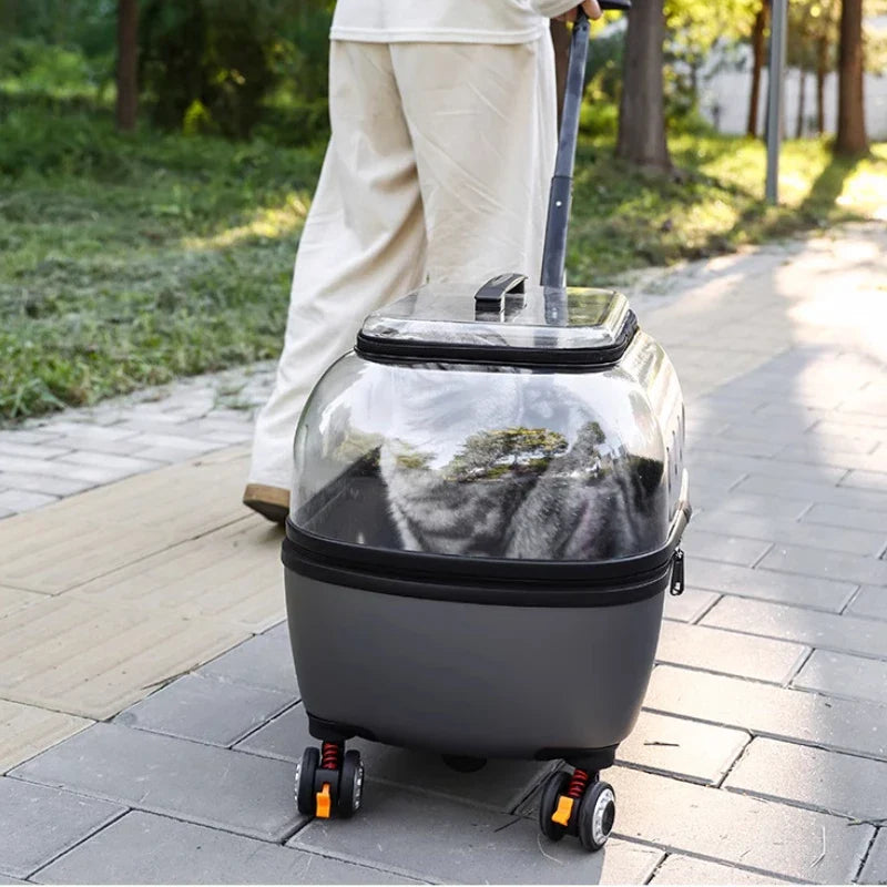 Transparent Pet Suitcase Large Capacity Cat Carry Portable Cat Stroller for Traveling Comfortable Breathable